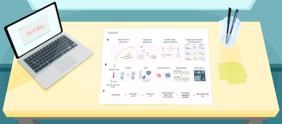 Illustration of a desk with figures from a paper on X-Atlas/Orion