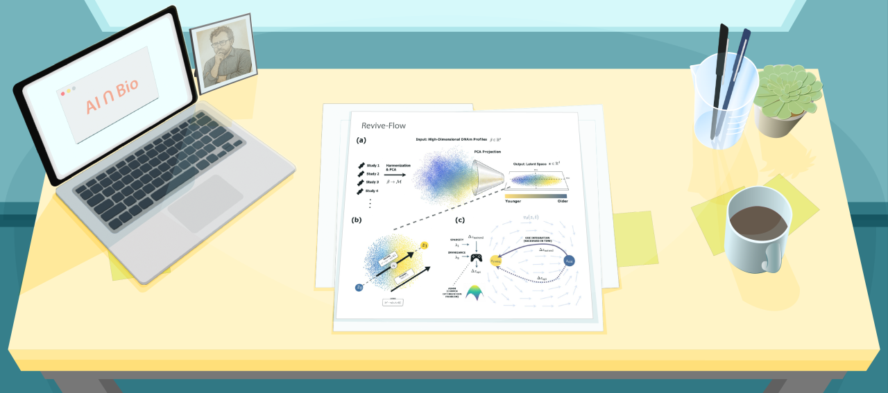Illustration of a desk with a figure from a recent paper about Revive-Flow