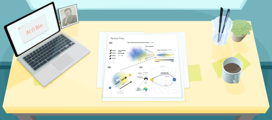 Illustration of a desk with a figure from a recent paper about Revive-Flow